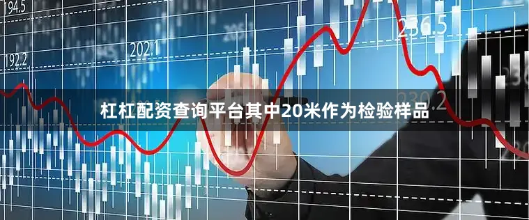杠杠配资查询平台其中20米作为检验样品